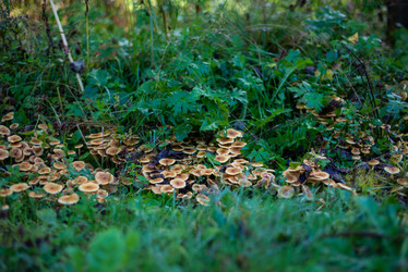 Similar image 21661334