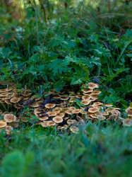 Similar image 21661335