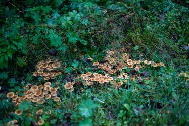 Similar image 21661336