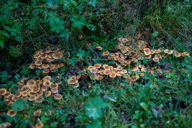 Similar image 21661337