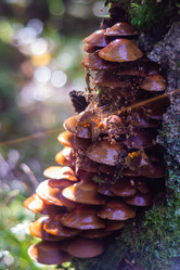 Similar image 21661338