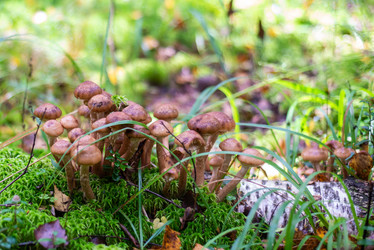 Similar image 21661339