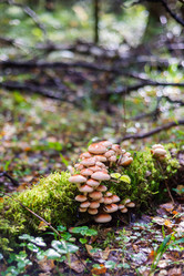 Similar image 21661340