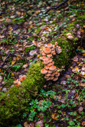 Similar image 21661341