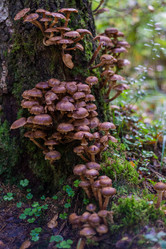 Similar image 21661343