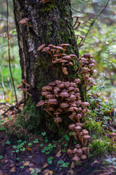 Similar image 21661344