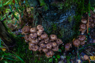 Similar image 21661349