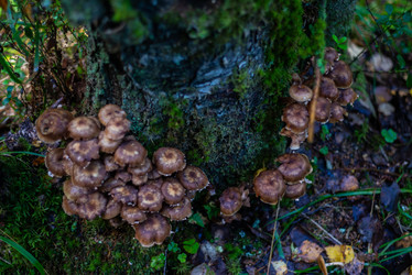 Similar image 21661350