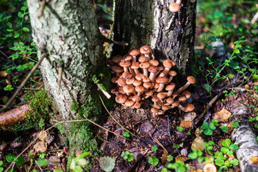 Similar image 21661351