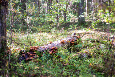 Similar image 21661352