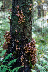 Similar image 21661353