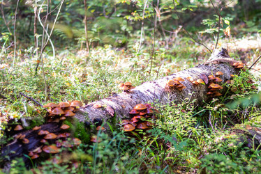 Similar image 21661354