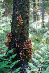 Similar image 21661355