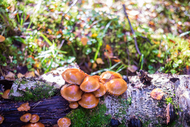 Similar image 21661356