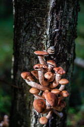 Similar image 21661357