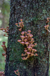 Similar image 21661358