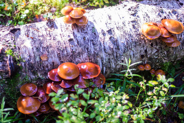 Similar image 21661359