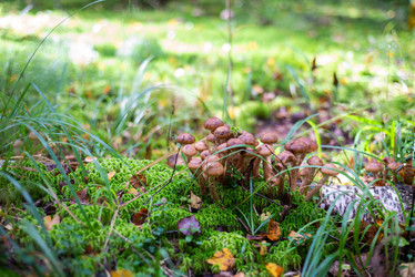 Similar image 21661360