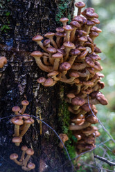 Similar image 21661361