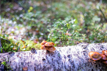 Similar image 21661362