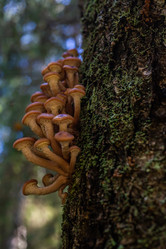 Similar image 21661363