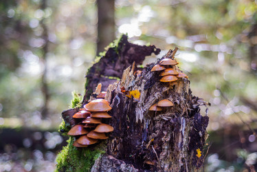 Similar image 21661364