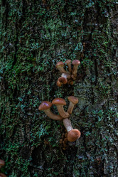 Similar image 21661367