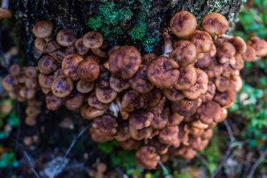 Similar image 21661368