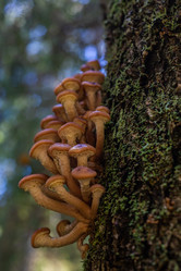 Similar image 21661369