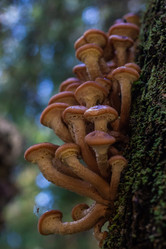 Similar image 21661370