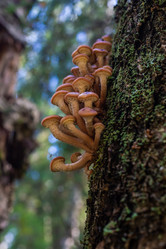 Similar image 21661371