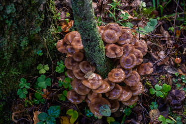 Similar image 21661372