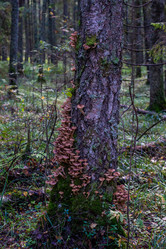 Similar image 21661373