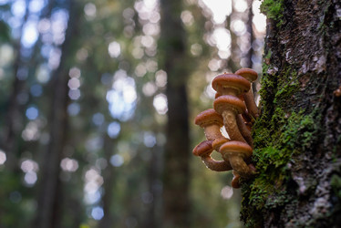 Similar image 21661374