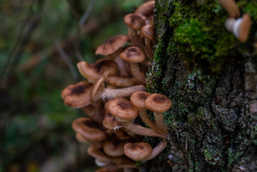 Similar image 21661375