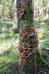 Similar image 21661377