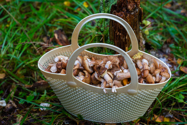 Similar image 21661378