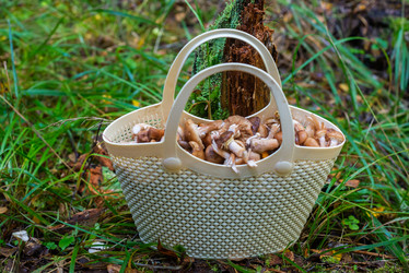 Similar image 21661380