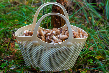 Similar image 21661381