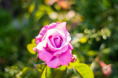 Similar image 21659775