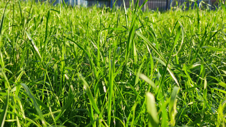 Similar image 21659378