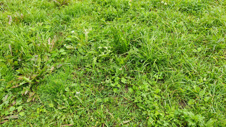 Similar image 21659379