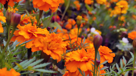 Similar image 21659380