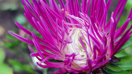 Similar image 21659383