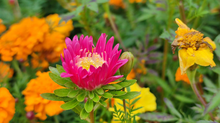 Similar image 21659386