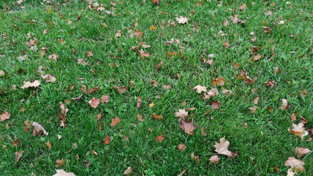 Similar image 21659389