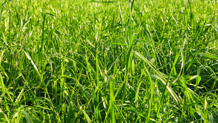 Similar image 21659390