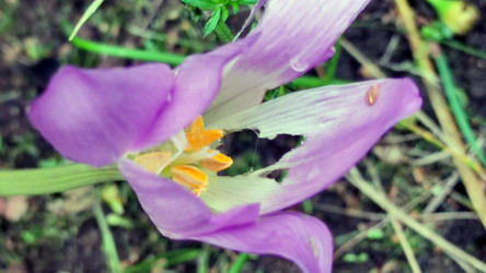 Similar image 21659391