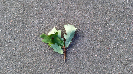 Similar image 21659394