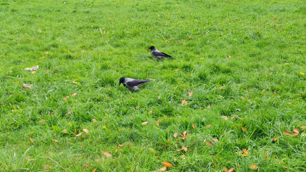 Similar image 21659408